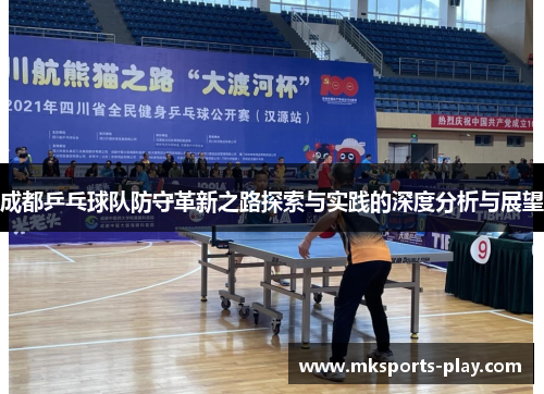 成都乒乓球队防守革新之路探索与实践的深度分析与展望