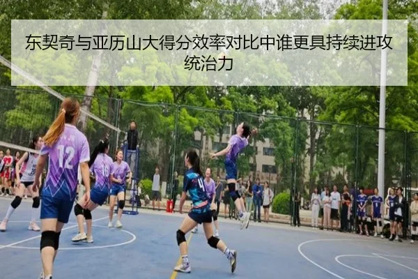 img_1779542443259_868_1_461.jpg