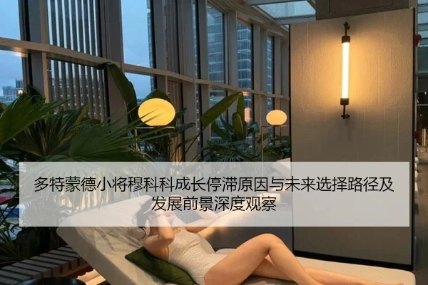 多特蒙德小将穆科科成长停滞原因与未来选择路径及发展前景深度观察